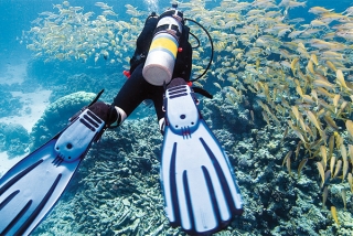 Explorando el oceano